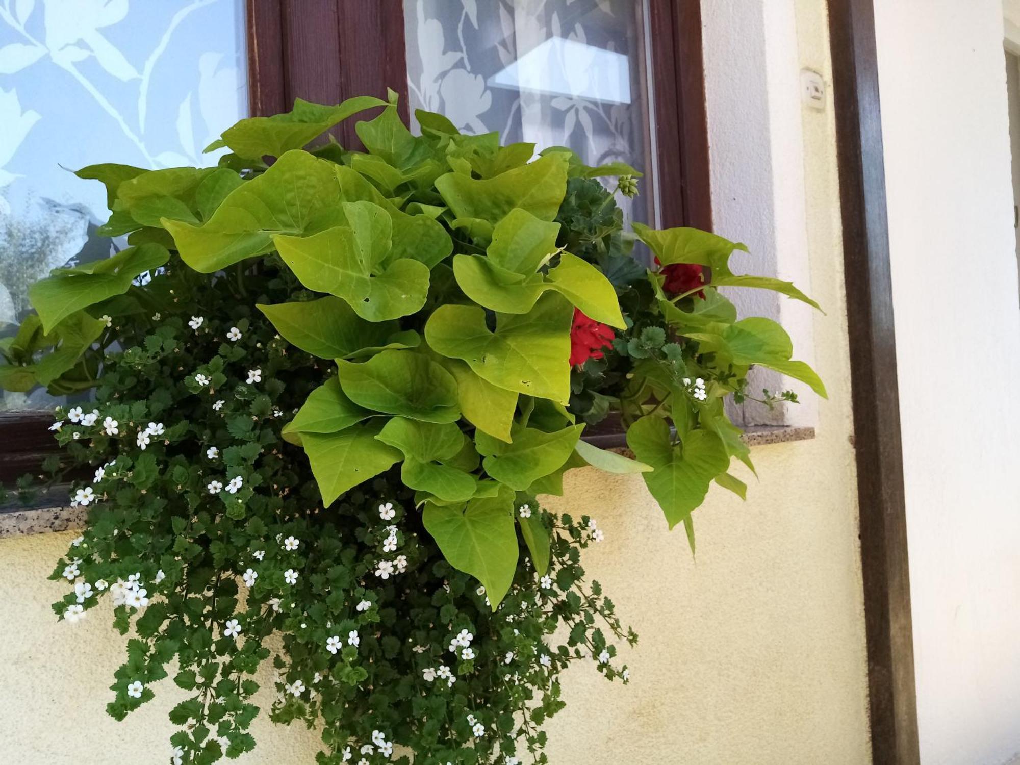 Hotel House Josipa à Rakovica Extérieur photo