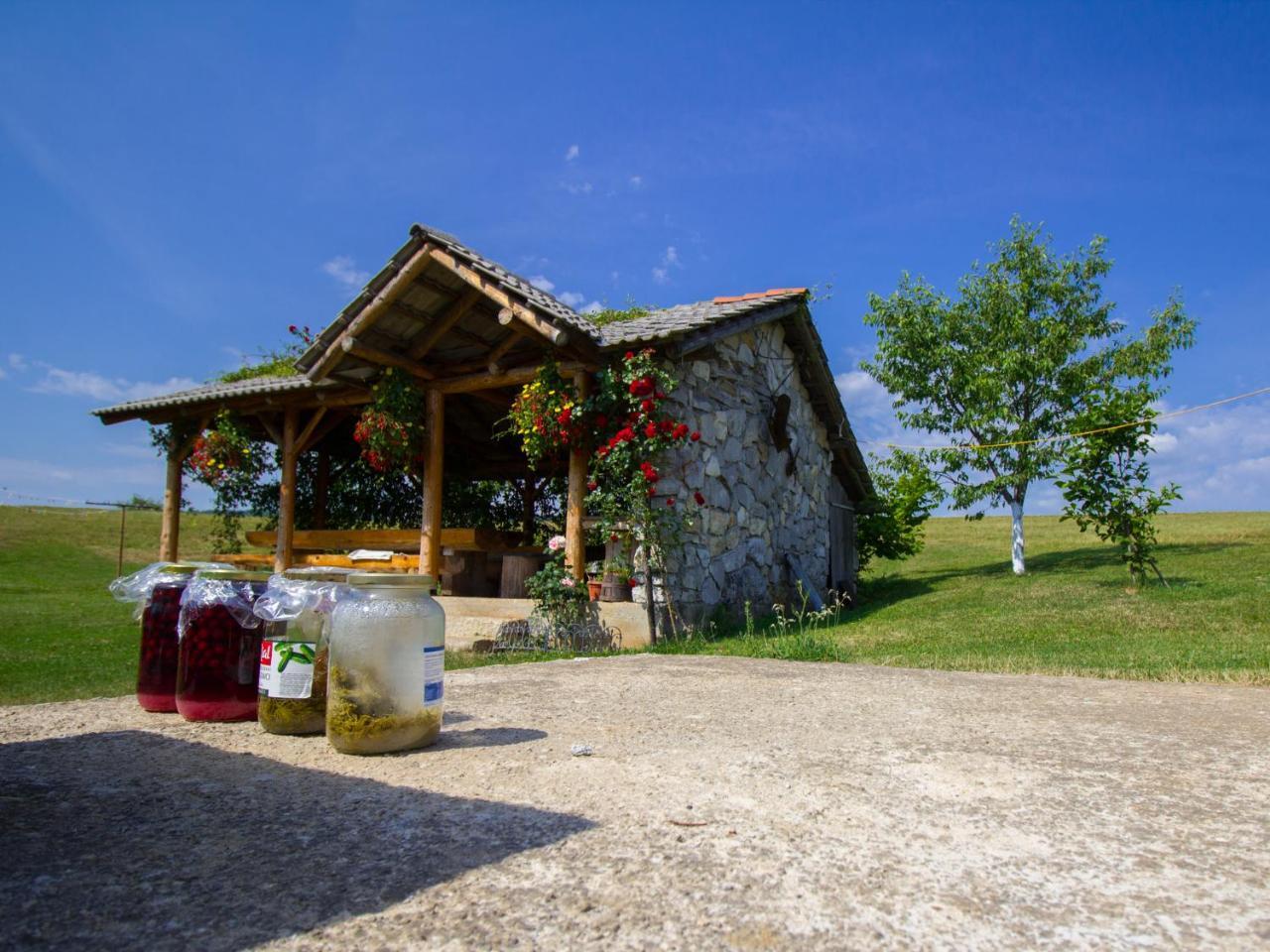 Hotel House Josipa à Rakovica Extérieur photo